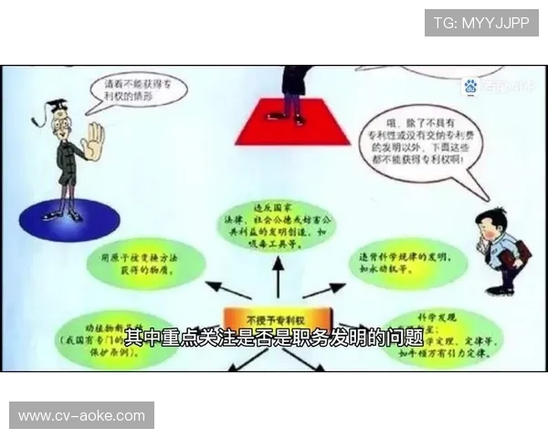 体育无形资产开发重心转向IP运营，多元化变现渠道正在形成